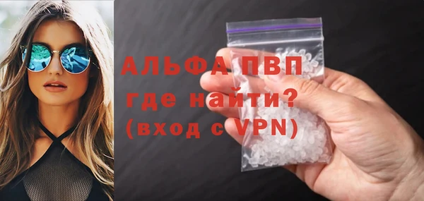 сатива Баксан