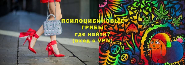 тгк Богданович