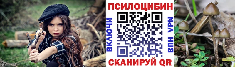 где купить наркоту  Куртамыш  Галлюциногенные грибы ЛСД 